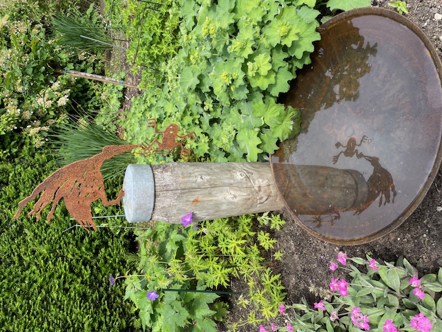 Zen.nl, Zen, meditatie, leren mediteren, foto